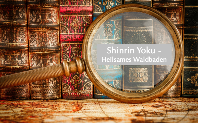 Buchvorstellung: Shinrin Yoku – Heilsames Waldbaden