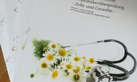 Beste Unterstützung mit unseren Skripten