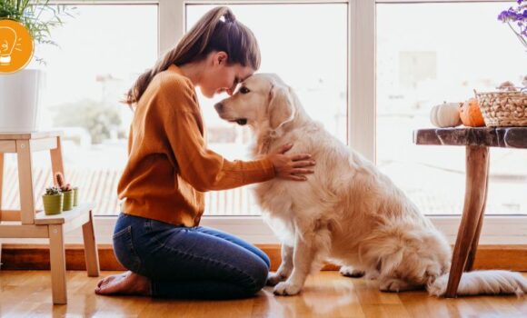 Tiergestützte Psychotherapie – Tiere als Teil des therapeutischen Prozesses