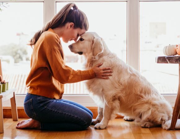 Tiergestützte Psychotherapie – Tiere als Teil des therapeutischen Prozesses