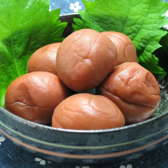 Japanische Hausmittel – Kuzu, Negi, Daikon und Umeboshi