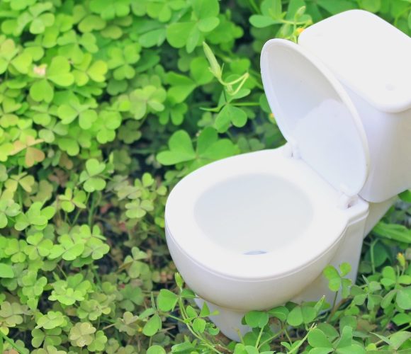 Welttoilettentag – die Geschichte der Toilette