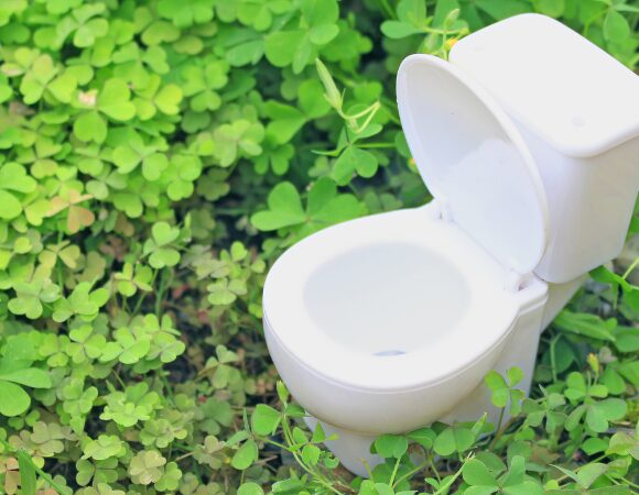 Welttoilettentag – die Geschichte der Toilette