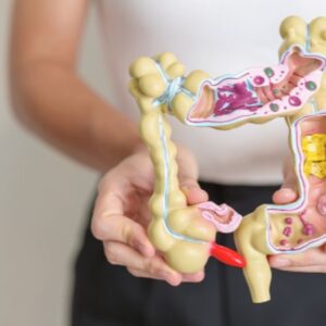 Wie Ihr Darmmikrobiom Ihre Gesundheit beeinflusst