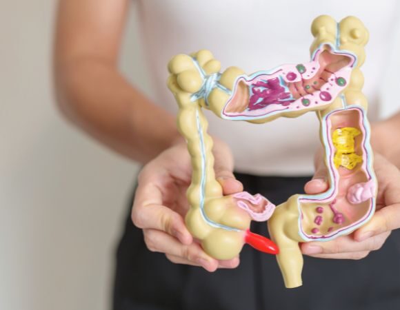 Wie Ihr Darmmikrobiom Ihre Gesundheit beeinflusst