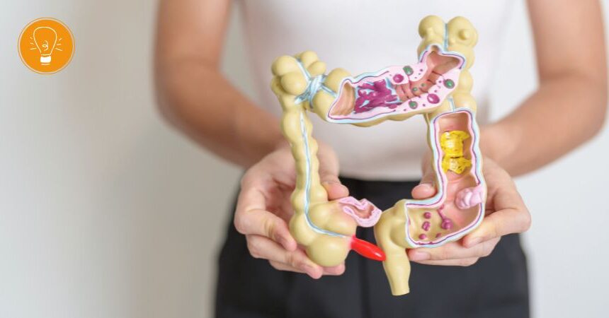 Wie Ihr Darmmikrobiom Ihre Gesundheit beeinflusst Wie Ihr Darmmikrobiom Ihre Gesundheit beeinflusst