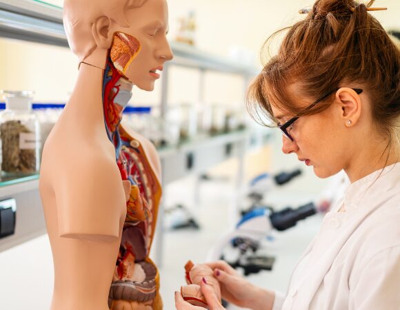 Yes, die Prüfung zum Heilpraktiker für Naturheilkunde ist bestanden – aber was mache ich jetzt damit? Yes, die Prüfung zum Heilpraktiker für Naturheilkunde ist bestanden – aber was mache ich jetzt damit?