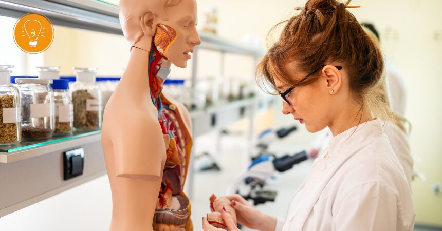 Yes, die Prüfung zum Heilpraktiker für Naturheilkunde ist bestanden – aber was mache ich jetzt damit? Yes, die Prüfung zum Heilpraktiker für Naturheilkunde ist bestanden – aber was mache ich jetzt damit?