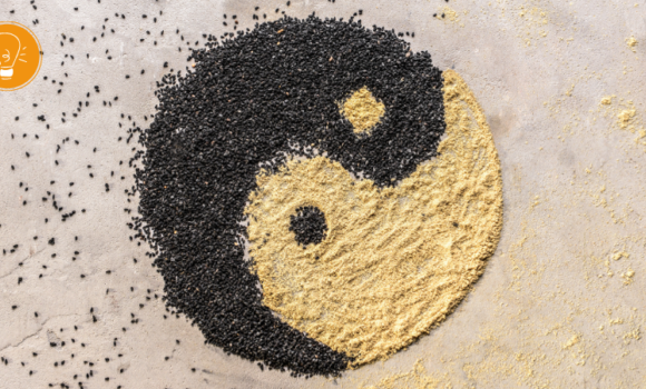 Yin und Yang im Alltag ‒ Balance finden zwischen Aktivität und Ruhe Yin und Yang im Alltag ‒ Balance finden zwischen Aktivität und Ruhe