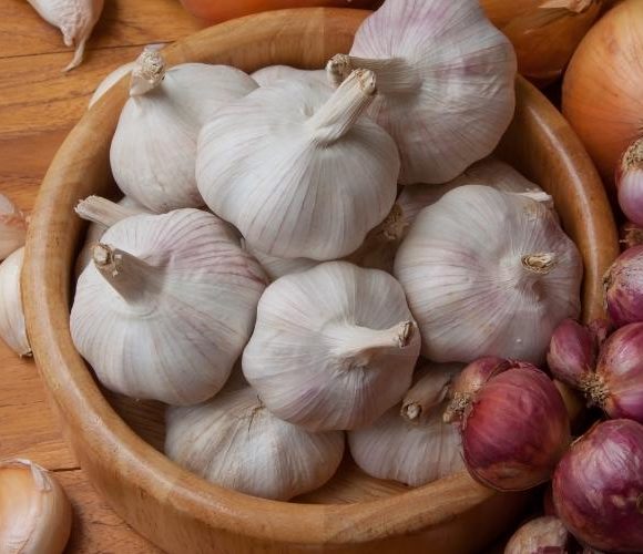 Zwiebeln und Knoblauch – unterschätzte Alleskönner